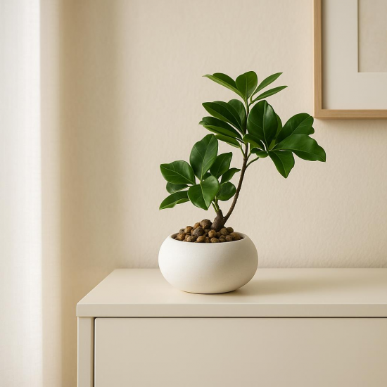Artificial Plant